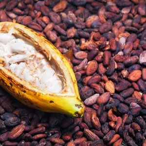 Buy Ivory Coast Cocoa , this cocoa is produce in Ivory coast and assemble in Cameroon by local farmers