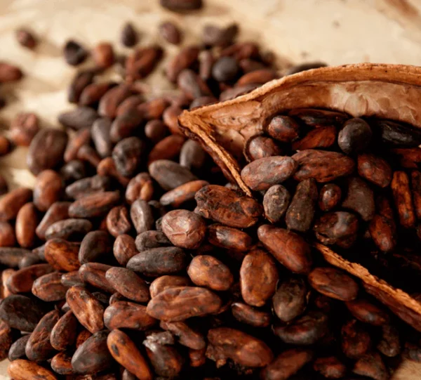 Buy dry cocoa . in Africa, Fermented & Sun Dried Cacao Beans