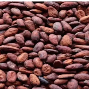 Buy Nigerian cocoa. this cocoa is produce in Nigerian and assemble is Cameroon for distribution