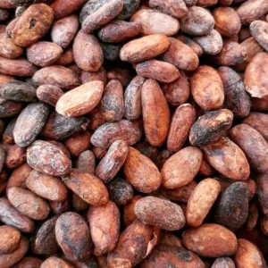 Buy Ghana Cocoa at Sucam Company. we sell all type of cocoa