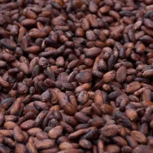 Buy Philippine Cocoa at sucam company Cameroon