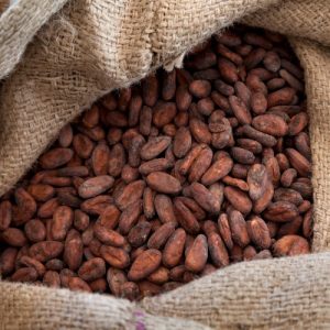 Buy Cameroon Cocoa. Sucam Company is the leading company in Africa we supply top quality cocoa world wide