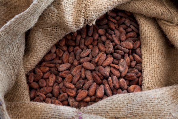 Buy Dry Cocoa Beans